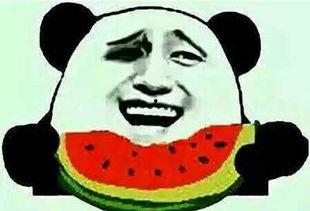 娱乐吃瓜酱有梗的人,趣味横生的人生片段